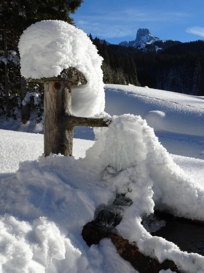 Prázdninový dům Plaik-haeusl Annaberg im Lammertal